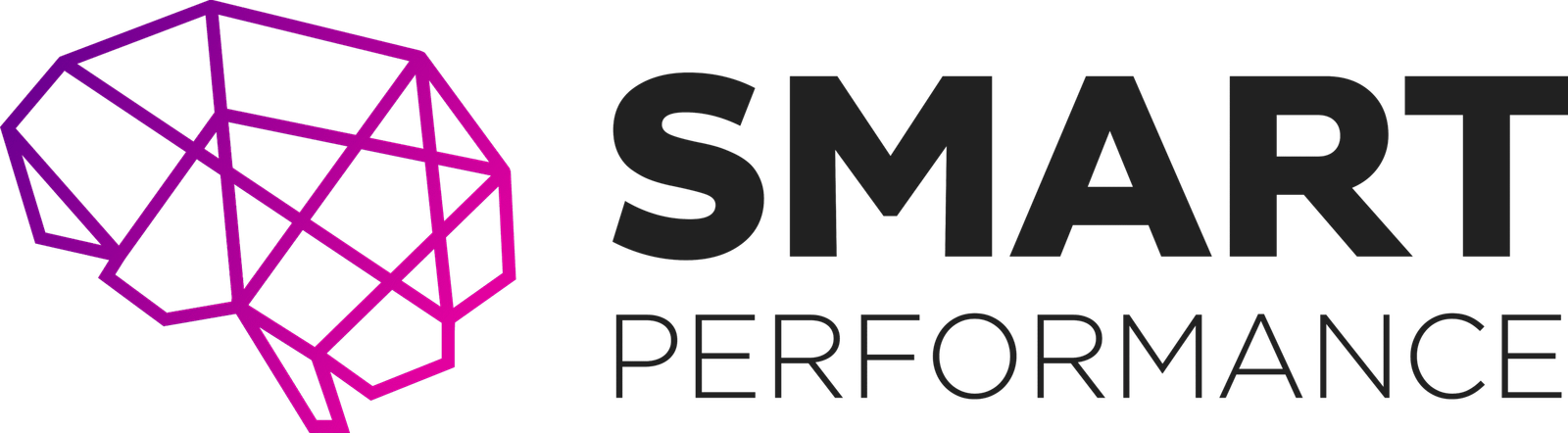 Smart Performance logo